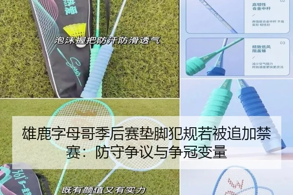 雄鹿字母哥季后赛垫脚犯规若被追加禁赛：防守争议与争冠变量